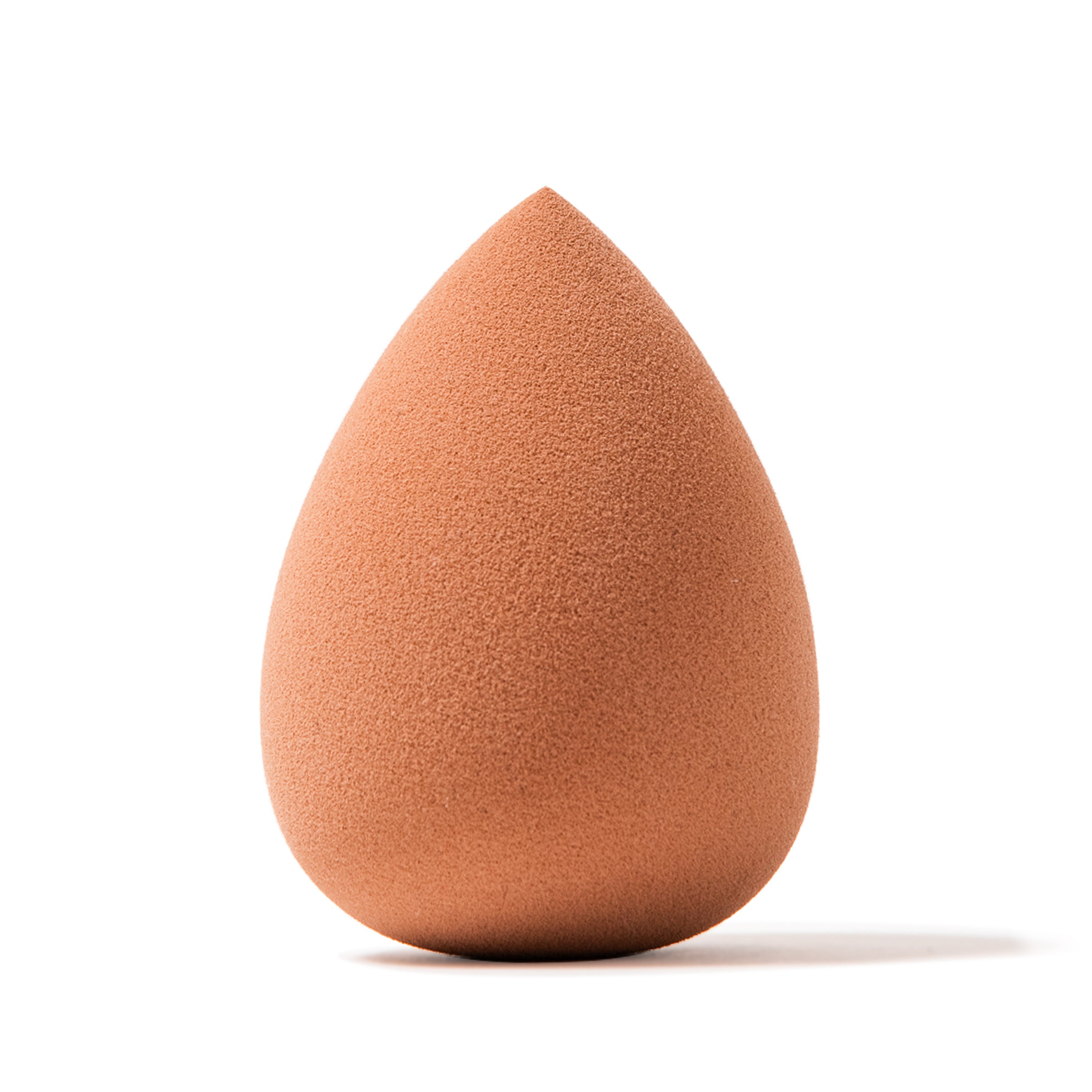 Beauty Sponge (xmas 2026)